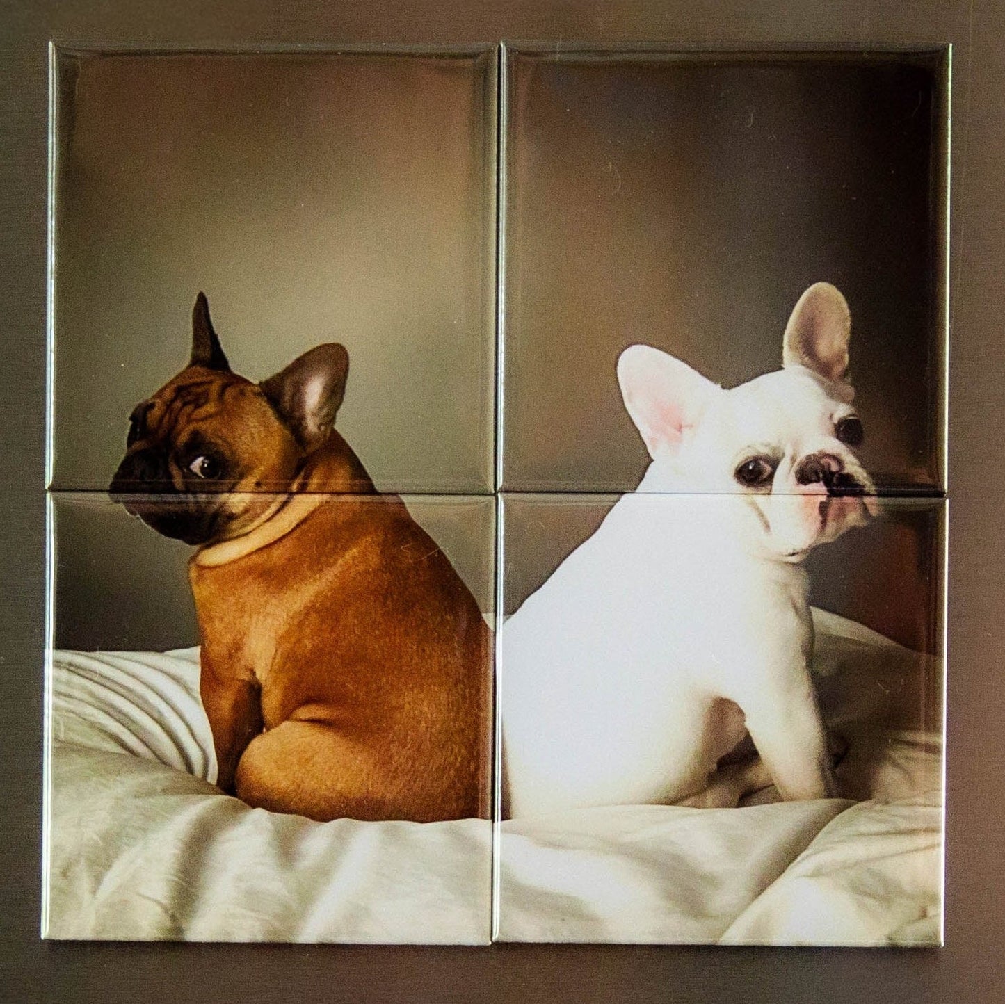 Two dogs on a blanket displayed in a custom photo puzzle magnet. 